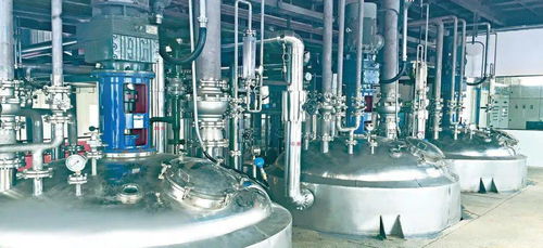 松滋化工企业诞生科技“小巨人” 创新引领，化工产品迈向新高度